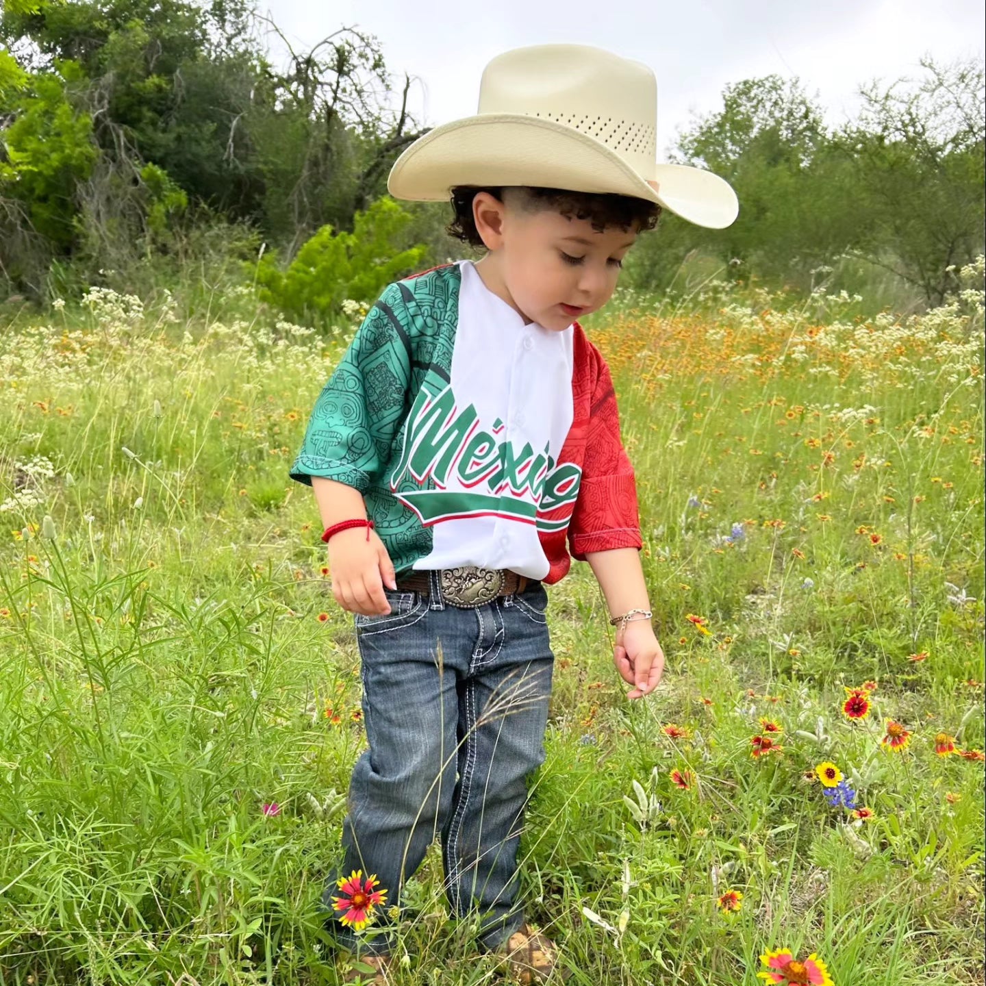 Customized Mexico Flag Jersey